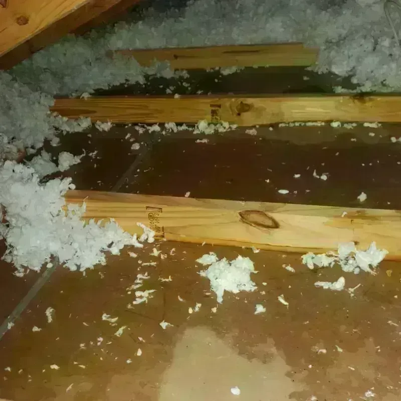 Attic Water Damage in Hancock County, KY