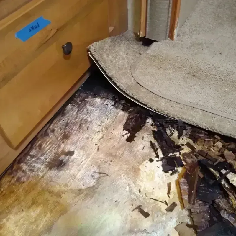 Wood Floor Water Damage in Hancock County, KY